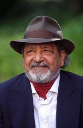 VS Naipaul ( PIERRE-PHILIPPE MARCOU/AFP/Getty Images) VS Naipaul