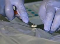 Cocaine bust