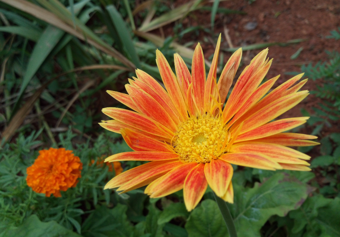 Tecno Camon iAce camera sample taken in the evening. Tecno, Camon iAce, camera, review