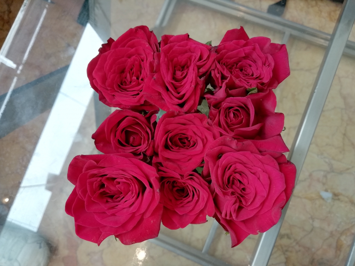 Honor 9N Camera Review