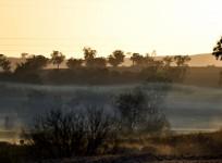 Australian drought