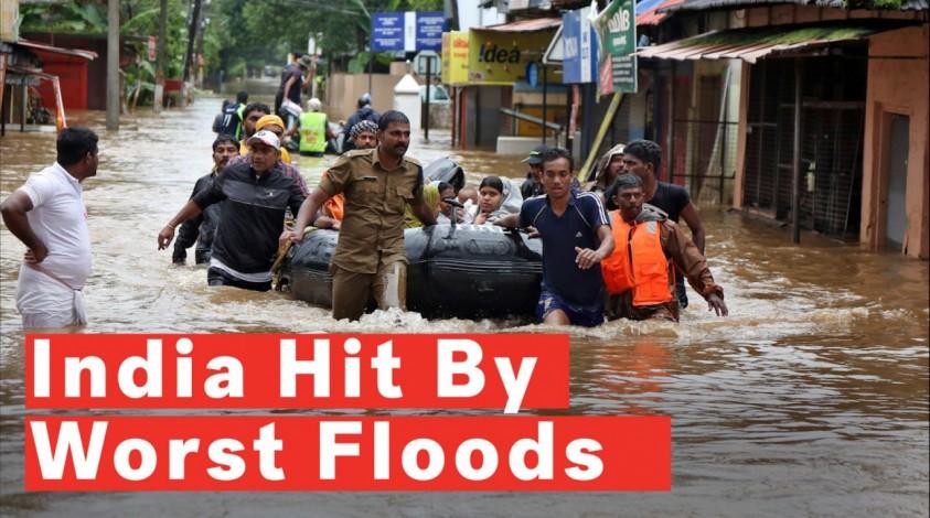 Muddy houses, rotting furniture and dead animals; destruction caused by Kerala  flood in photos - IBTimes India