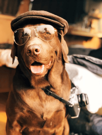 This photo is of his pet dog. Apple, Shot on iPhones