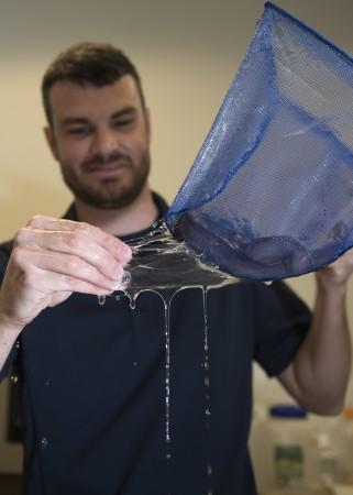 Dr. Ryan Kincer demonstrates the elasticity of the hagfish slime secreted from the the Pacific hagfish within the net aboard Naval Surface Warfare Center Panama City Division Navy Slime