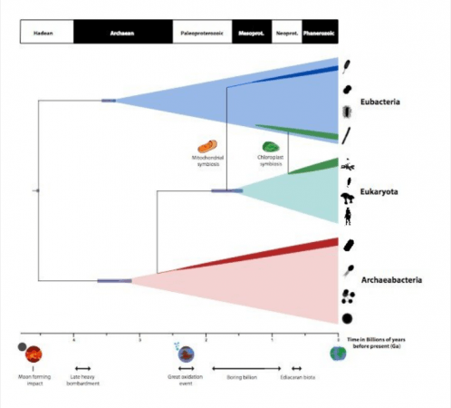 A timescale for the evolution of life on planet Earth Life on Earth