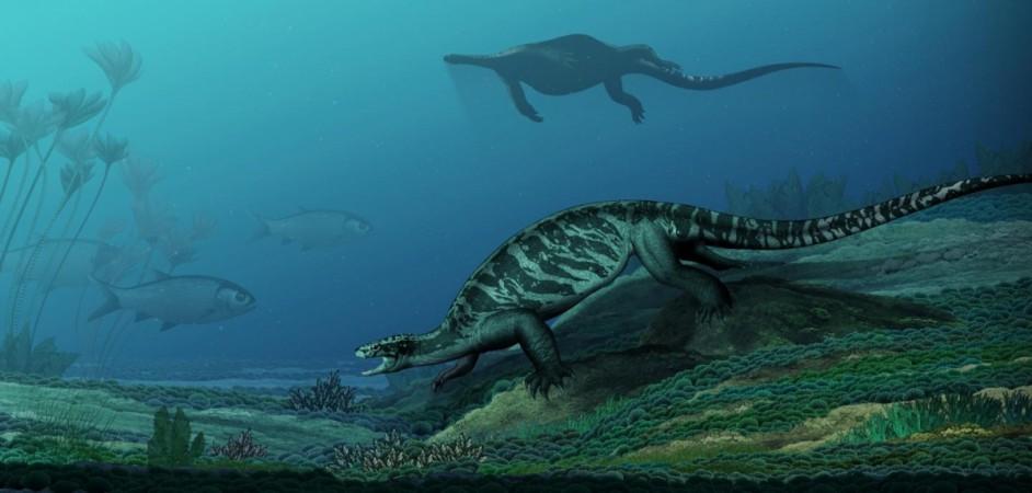 A illustration of ancient turtle, Eorhynchochelys (Credit:IVPP) ancient turtle, Eorhynchochelys