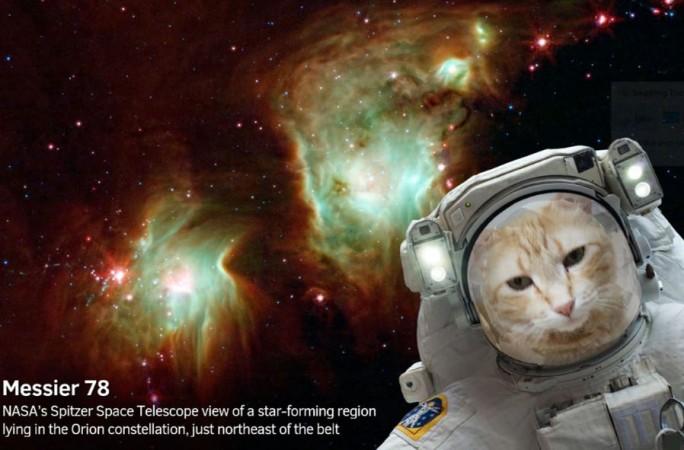 Each image contains information about the object shown. NASA app