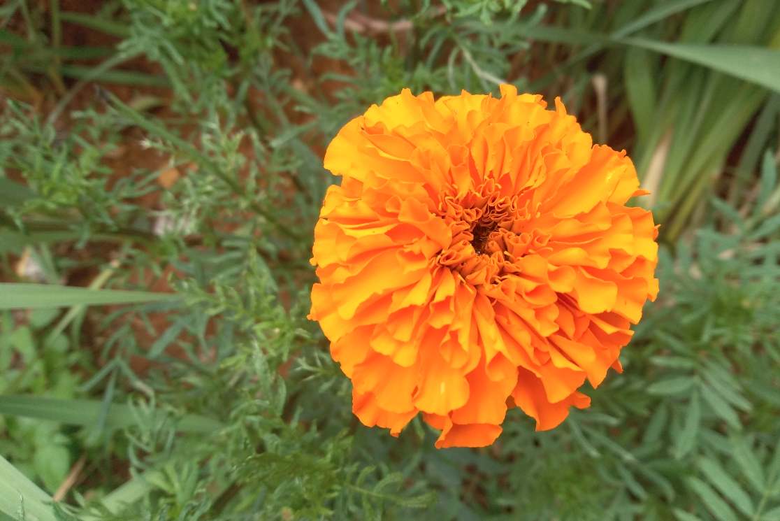 Infinix Hot 6 Pro camera sample taken in the morning. Infinix, Hot 6 Pro, review, camera