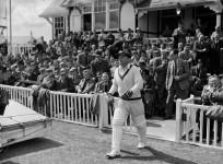 don bradman