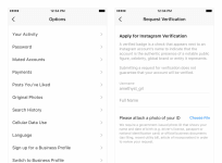 Instagram verification request form