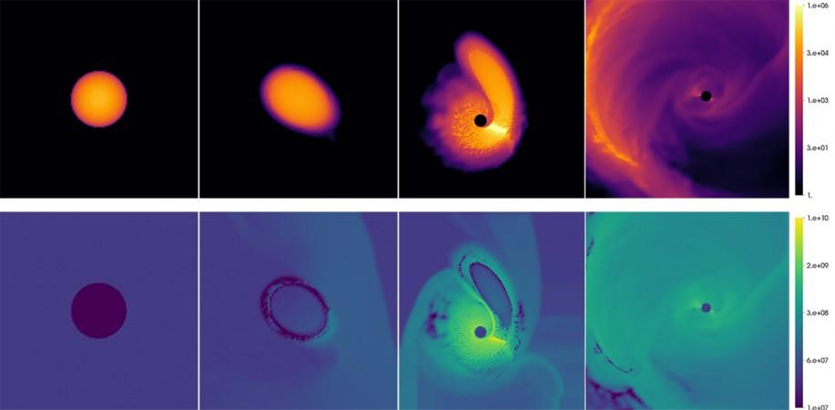 A computer simulation of a white dwarf being tidally disrupted by a 1,000 solar mass black hole. Black hole