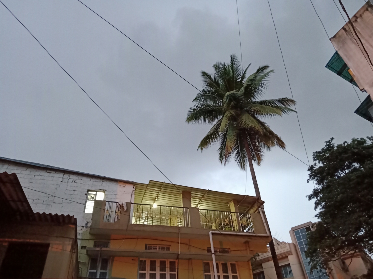 Oppo F9 Pro camera samples