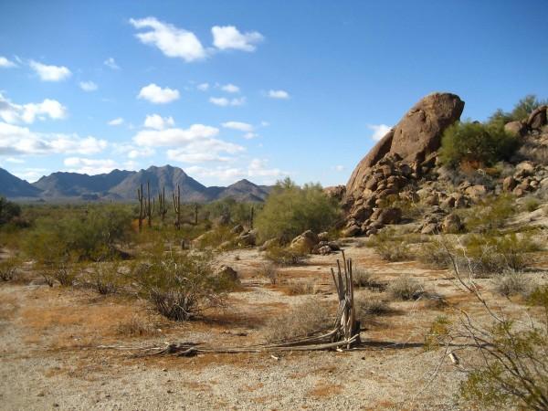 Arizona desert