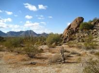 Arizona desert