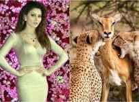 Urvashi Rautela