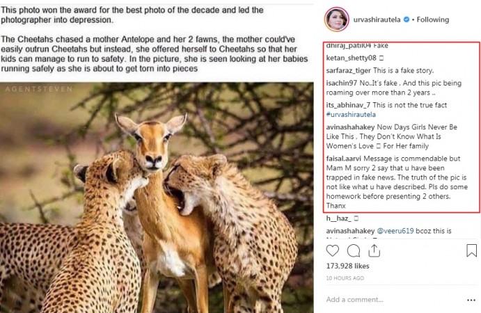 Urvashi Rautela Urvashi Rautela