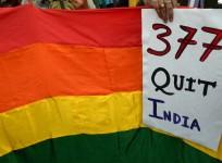 section 377