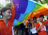 section 377