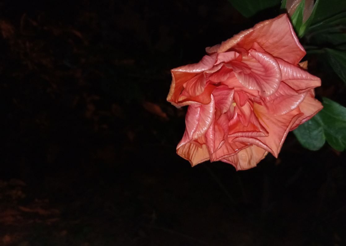 Infinix, Note 5, Android One, review