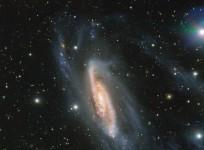 Spiral Galaxy NGC 3981