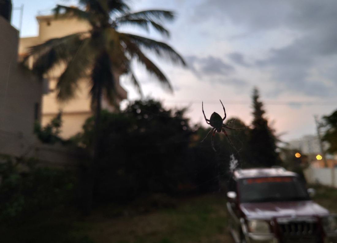 Poco F1 primary camera sample taken in the evening Xiaomi, Poco F1, launch, review, price, specifications,