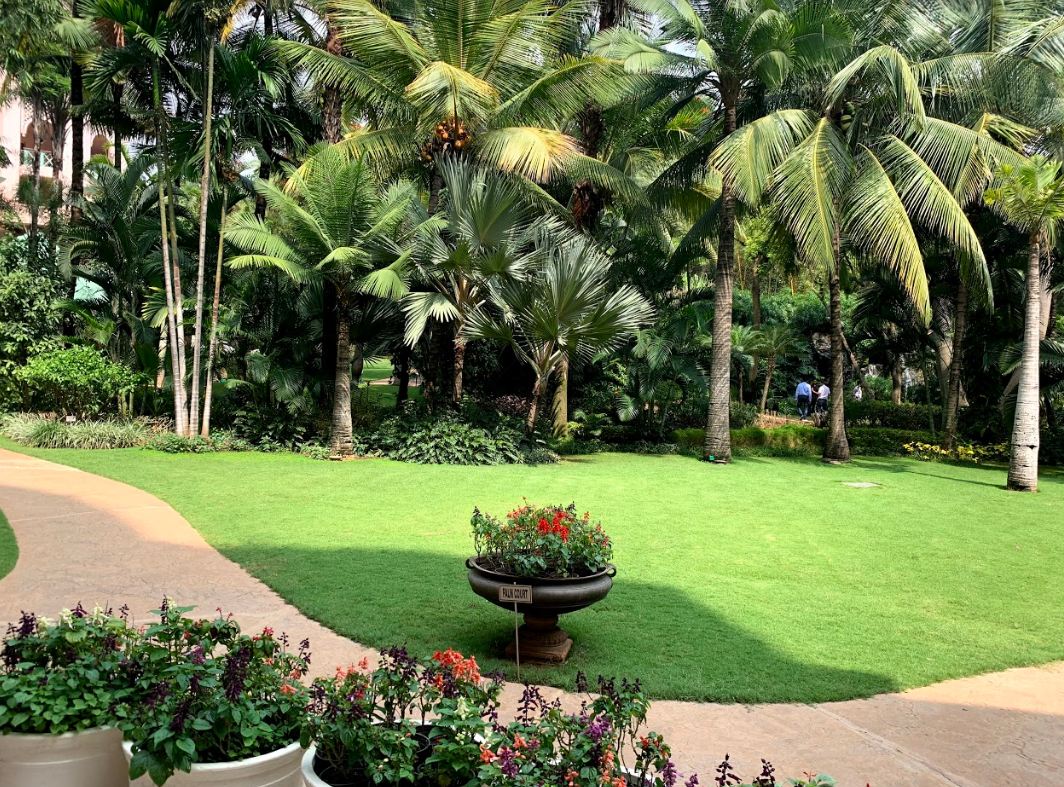 Apple iPhone XS primary camera sample taken in the afternoon Apple, iPhone XS, iPhone XS Max, India, launch, price, specs