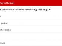 Bigg Boss Telugu 2 winner's prediction - IBTime poll results