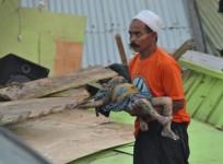 Indonesia Tsunami