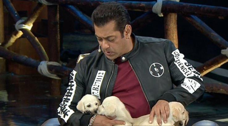 Salman