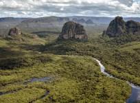 Amazon Forest