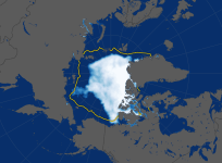 Arctic ice