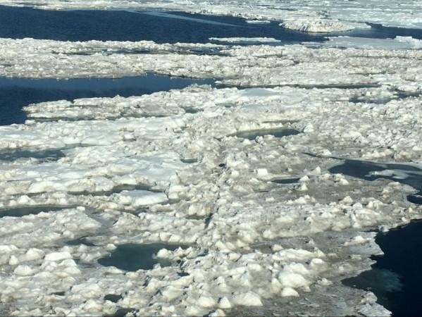 Arctic ice