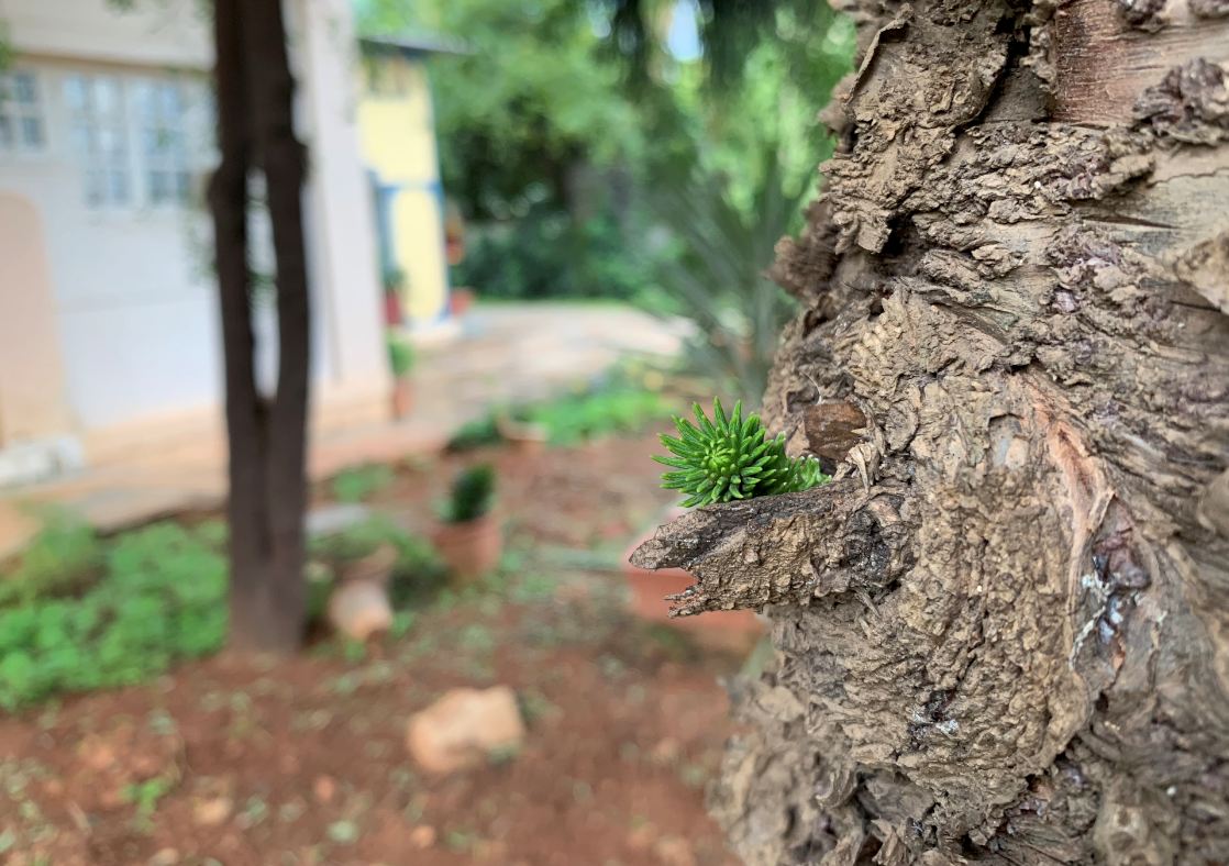 Apple, iPhone XS, review