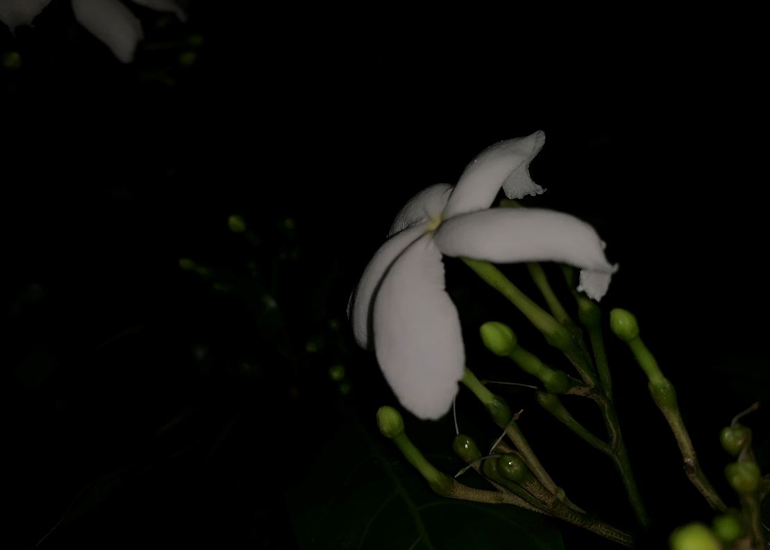 Apple, iPhone XS, review