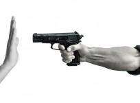 Pistol