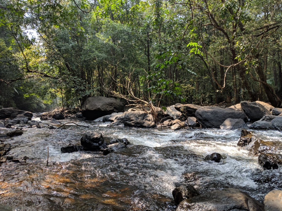 Shot on Pixel 3 XL Shot on Pixel 3 XL