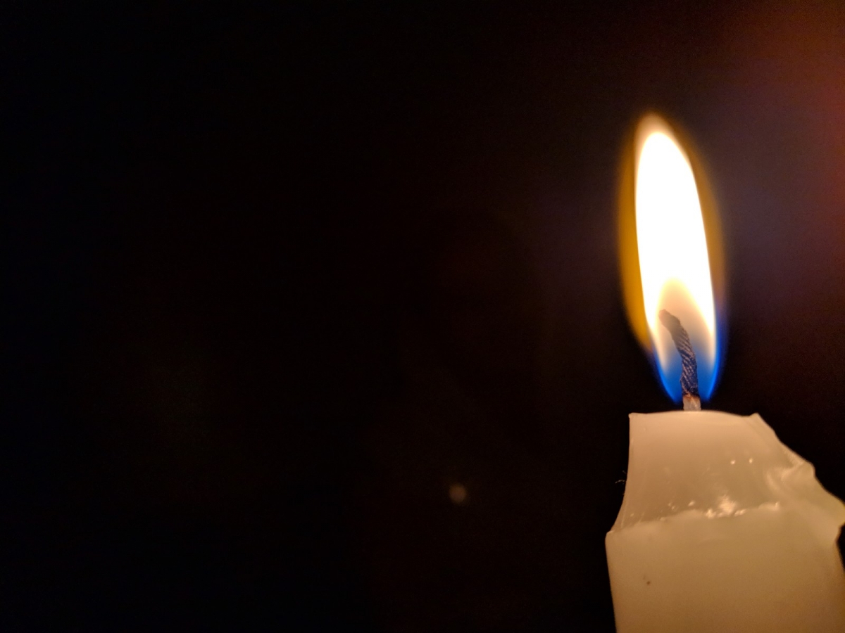 Shot on Pixel 3 XL Shot on Pixel 3 XL