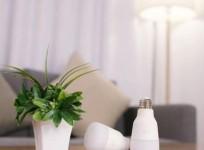 Yeelight, Xiaomi, smart LED bulb, India, launch, price