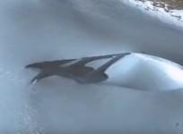 Antarctica UFO