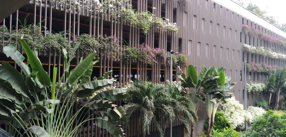 Motorola, Moto One Power, Android One, review,Google, India, launch