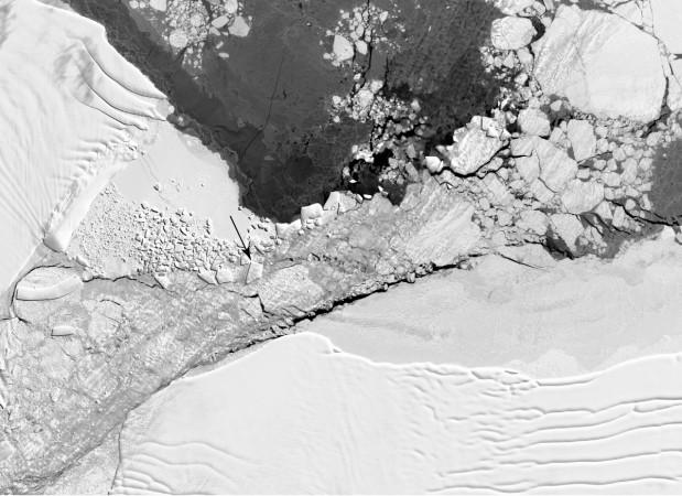 Section of a Landsat 8 image of the Antarctica