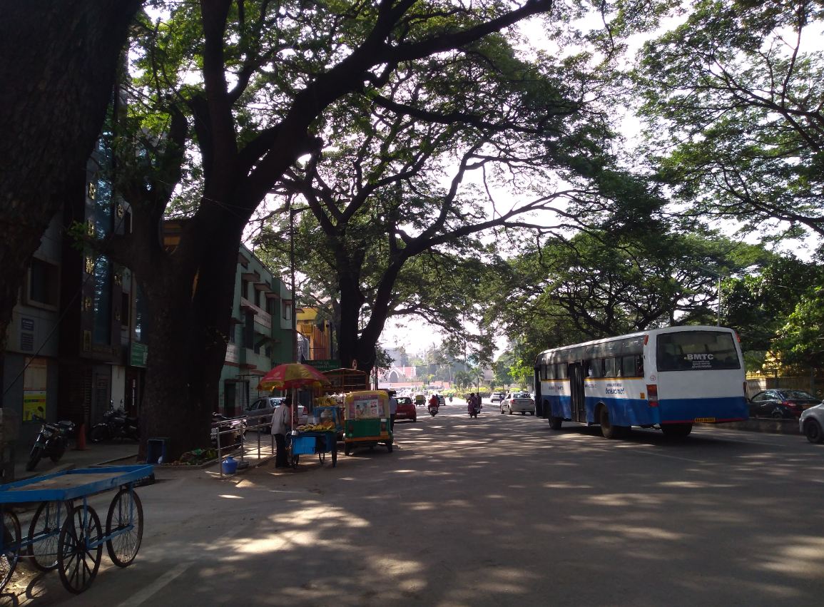 Asus, Zenfone Max M1, review, India, price, launch