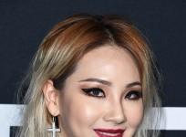CL file image