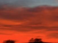 Red Skies