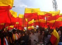 Karnataka flag Kannada Rajyotsav
