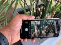 Apple, iPhone XR, first impression, hands-on, price,