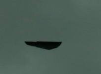 black triangle