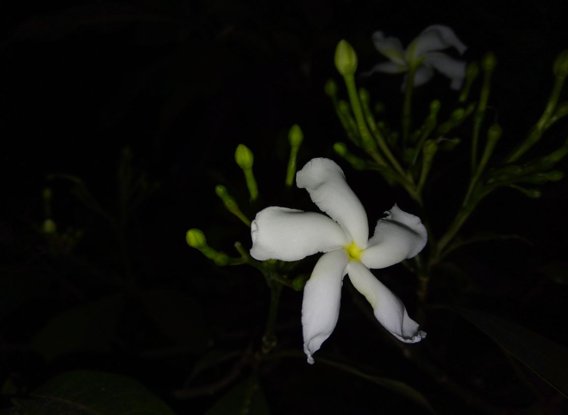 Lenovo A5 primary camera sample taken during the night with LED flash light on. Lenovo A5 review, price, specs, camera, performance, battery life