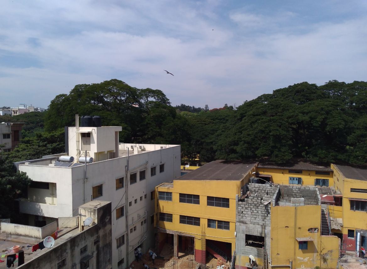 Asus Zenfone Lite L1 primary camera sample taken in the afternoon. Asus, Zenfone Lite L1, review, price, specs, India