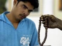 An art enthusiast at Venkatappa art gallery